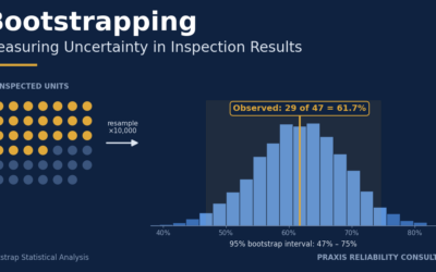 Bootstrapping: Measuring the Uncertainty in Inspection Results